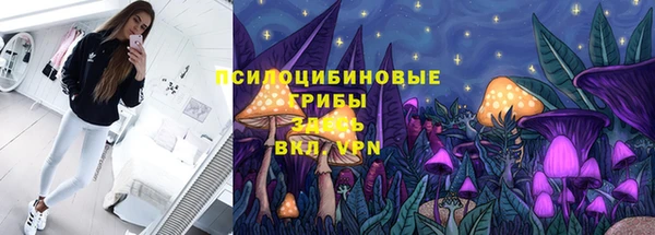 спиды Алексеевка